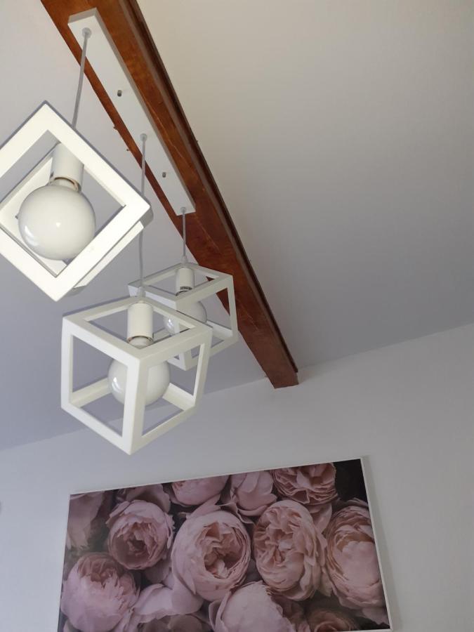Apartmán Flora Novi Sad Exteriér fotografie