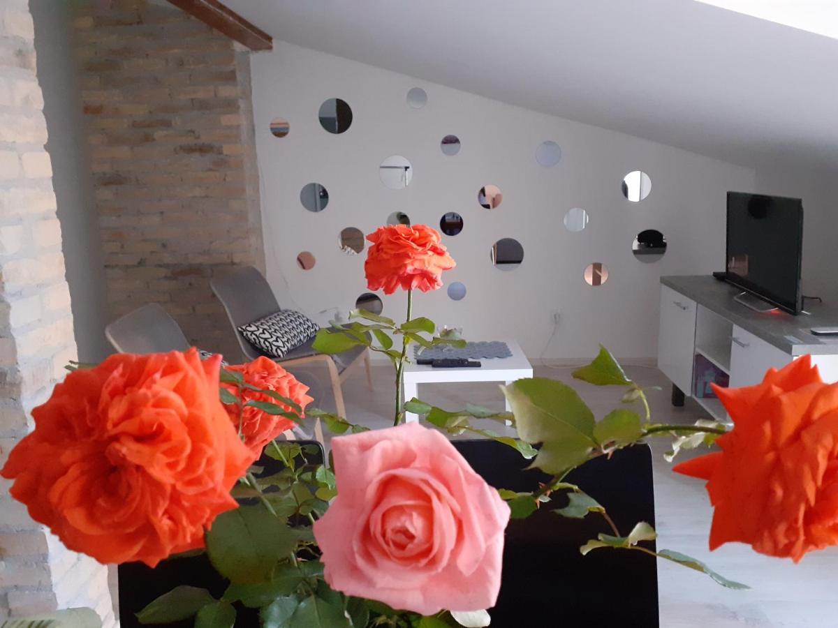 Apartmán Flora Novi Sad Exteriér fotografie