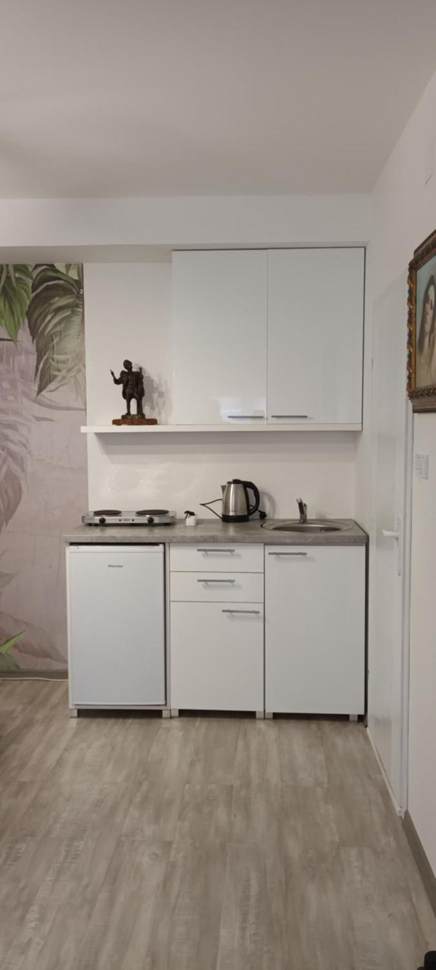 Apartmán Flora Novi Sad Exteriér fotografie